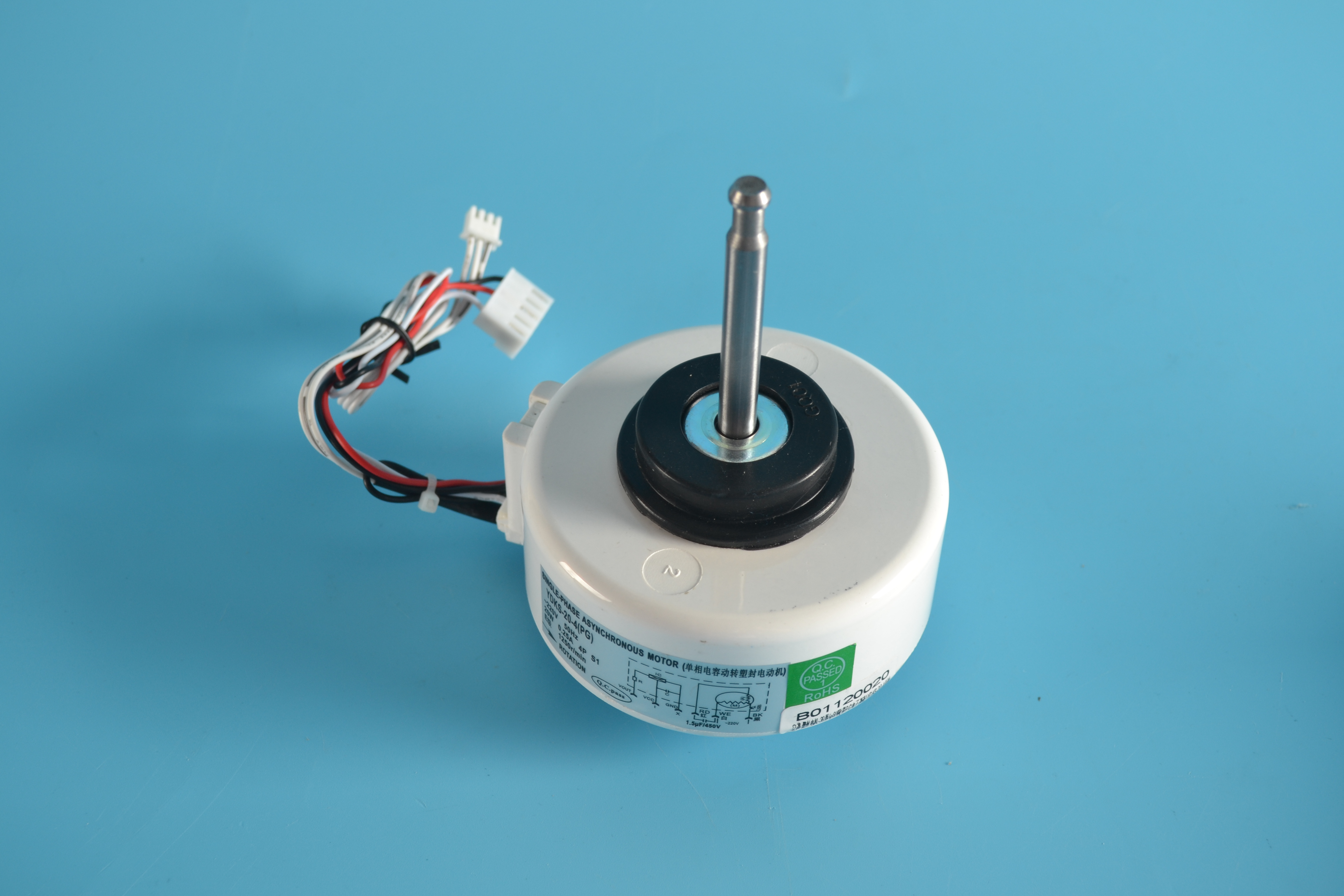 Motor - B01120020