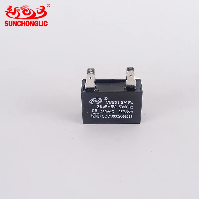 Capacitor - B01020008