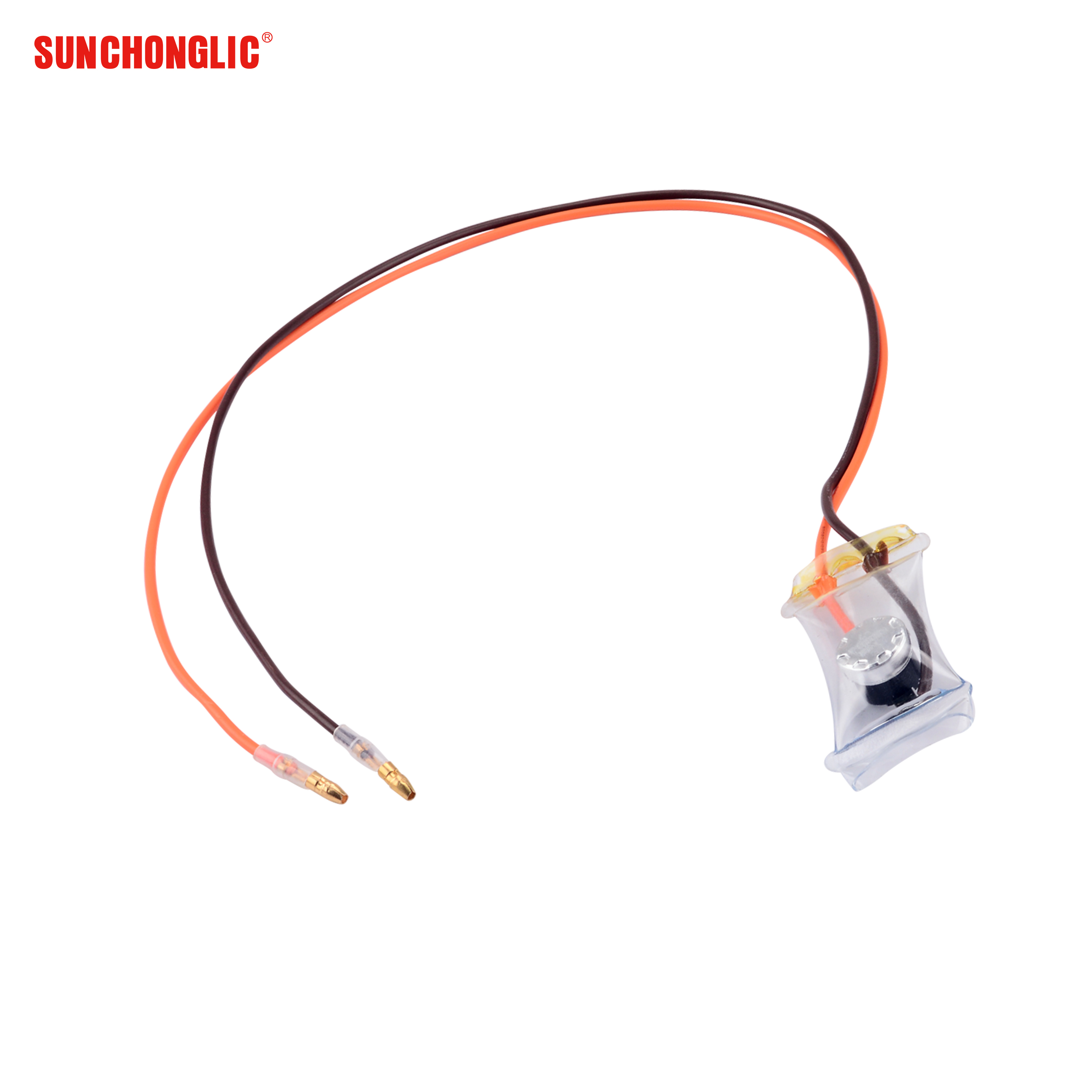 Thermostat - B02020017
